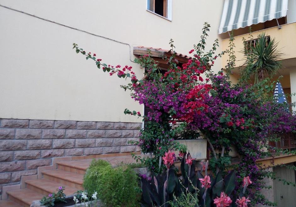 Bed and Breakfast Al 32 y 3 Alguer Exterior foto